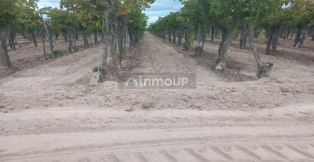 Santa Rosa Ruta Provincial n°50 S/N