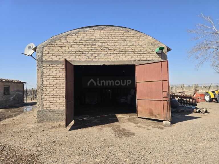 Finca en Venta en San Martin, Mendoza