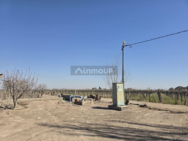 Finca en Venta en San Martin, Mendoza