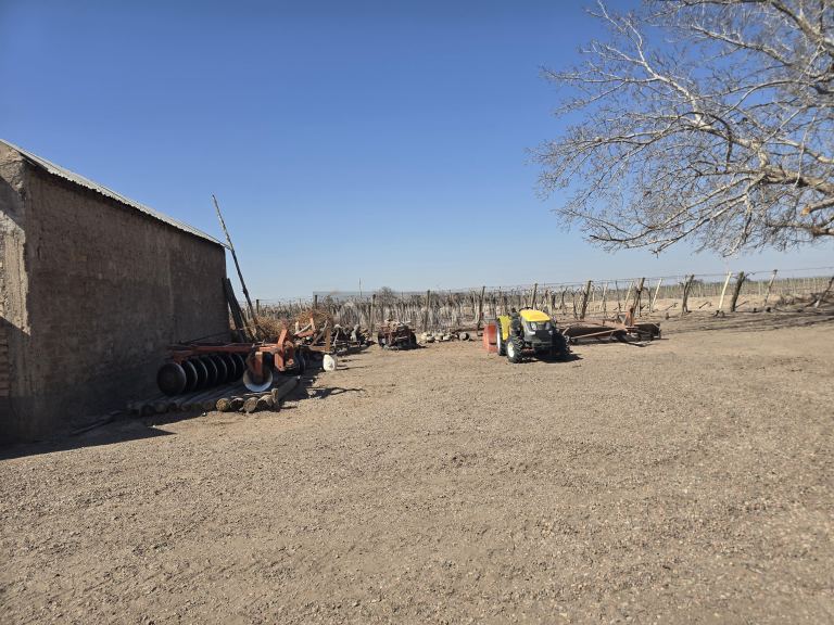 Finca en Venta en San Martin, Mendoza