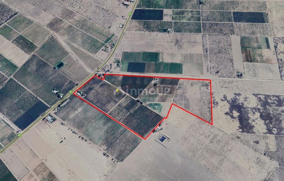 Finca en Venta en San Martin, Mendoza
