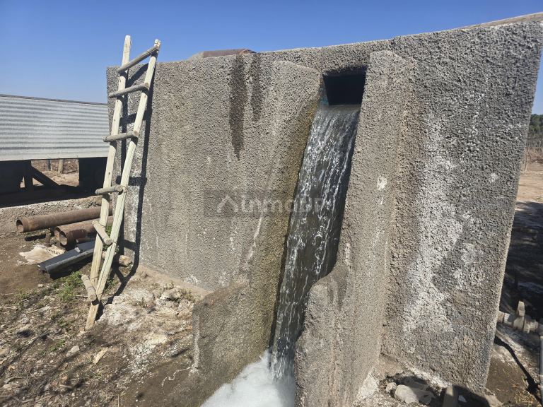 Finca en Venta en San Martin, Mendoza