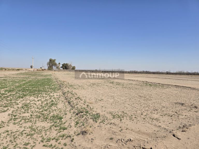 Finca en Venta en San Martin, Mendoza