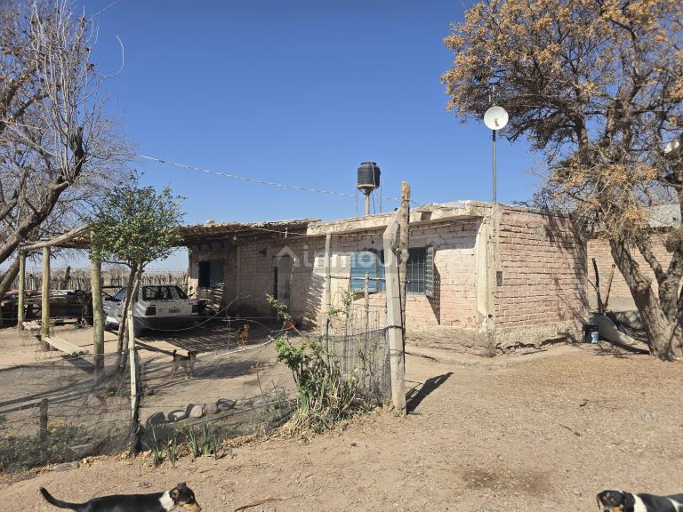 Finca en Venta en San Martin, Mendoza