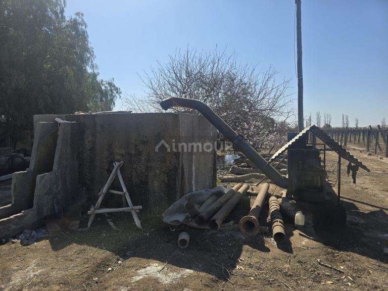 Finca en Venta en San Martin, Mendoza