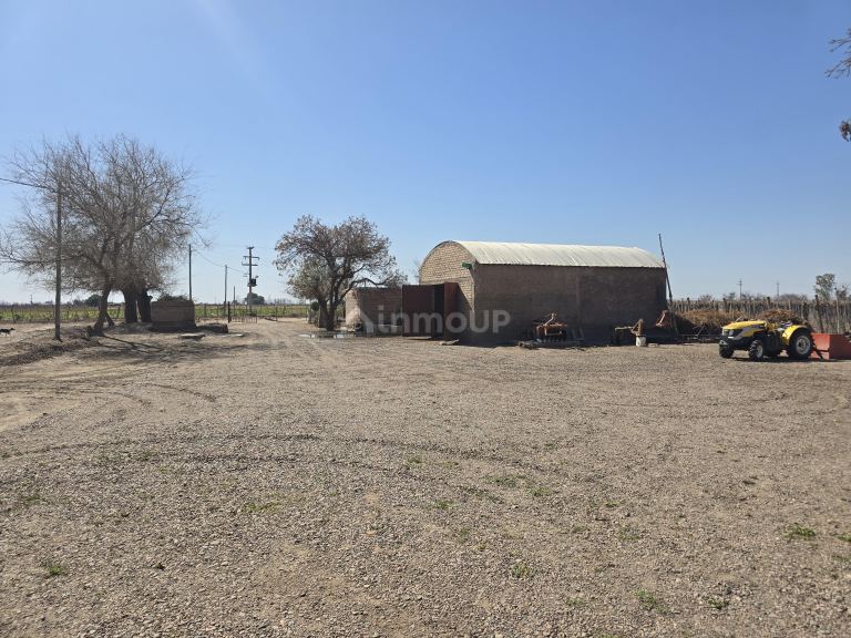 Finca en Venta en San Martin, Mendoza