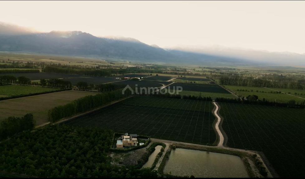 Finca en Venta en Tunuyan, Mendoza