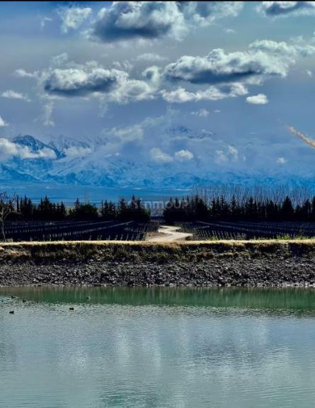 Finca en Venta en Tunuyan, Mendoza