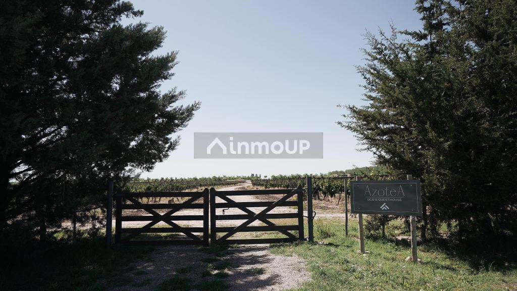 Finca en Venta en Tunuyan, Mendoza