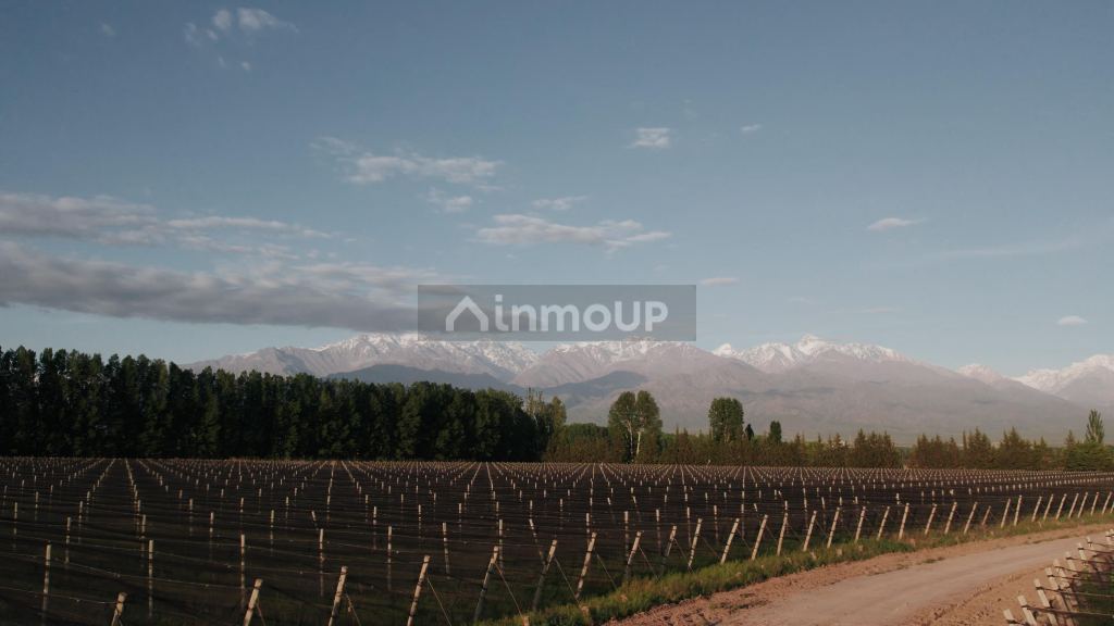 Finca en Venta en Tunuyan, Mendoza