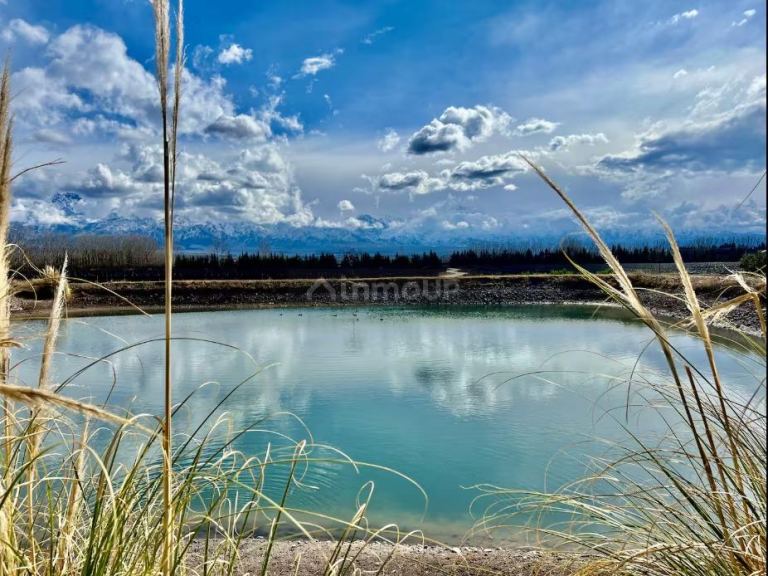 Finca en Venta en Tunuyan, Mendoza