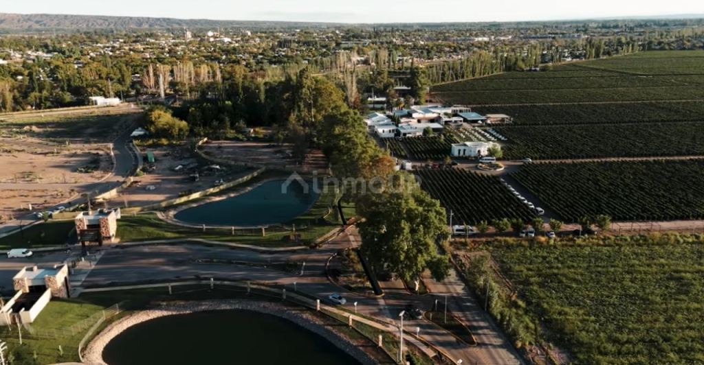 Lote en Venta en Lujan de Cuyo, Mendoza