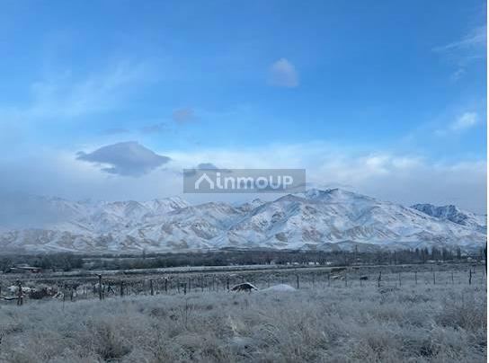 Lote en Venta en Tupungato, Mendoza