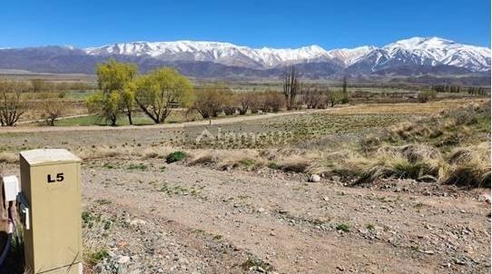 Lote en Venta en Tupungato, Mendoza