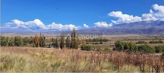 Lote en Venta en Tupungato, Mendoza