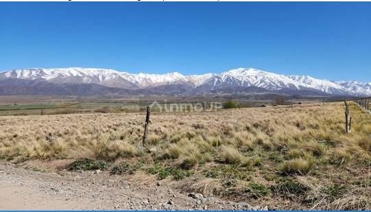 Lote en Venta en Tupungato, Mendoza