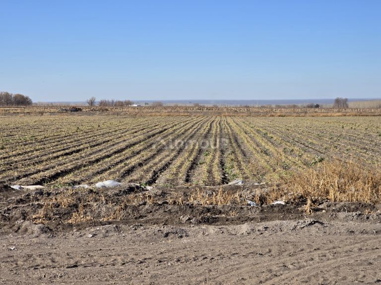 Finca en Venta en Tunuyan, Mendoza