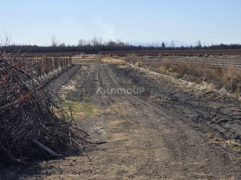 Finca en Venta en Tunuyan, Mendoza