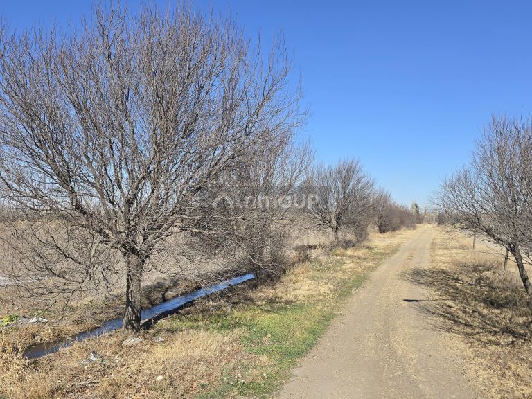 Finca en Venta en Tunuyan, Mendoza