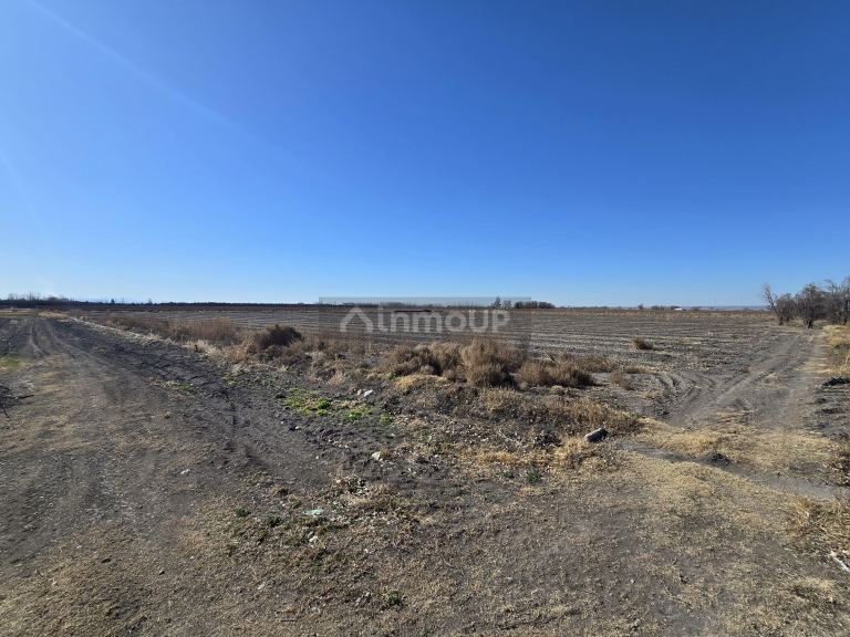 Finca en Venta en Tunuyan, Mendoza