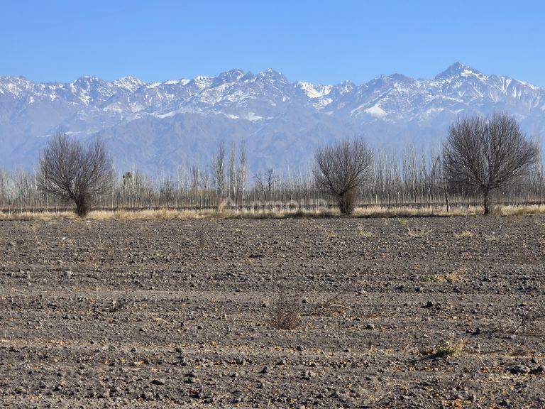 Finca en Venta en Tunuyan, Mendoza