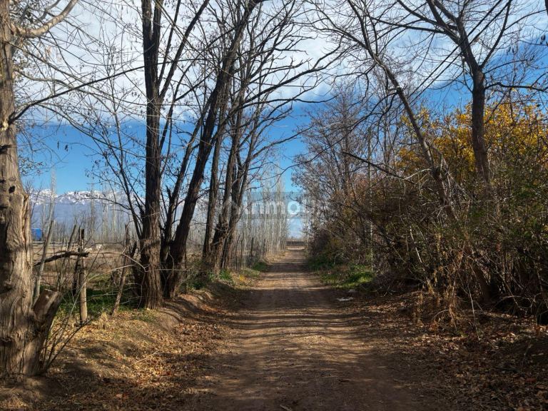 Finca en Venta en Tunuyan, Mendoza