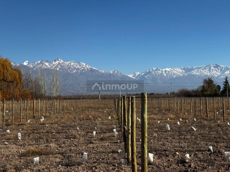 Finca en Venta en Tunuyan, Mendoza