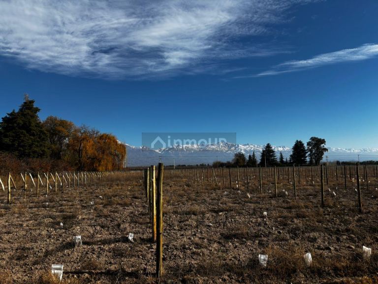 Finca en Venta en Tunuyan, Mendoza