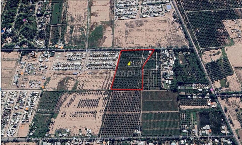 Finca en Venta en Maipu, Mendoza