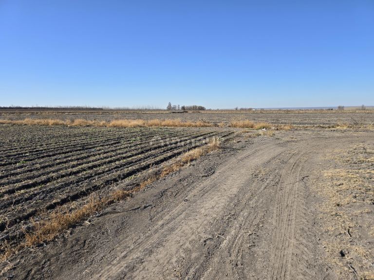 Finca en Venta en Tunuyan, Mendoza