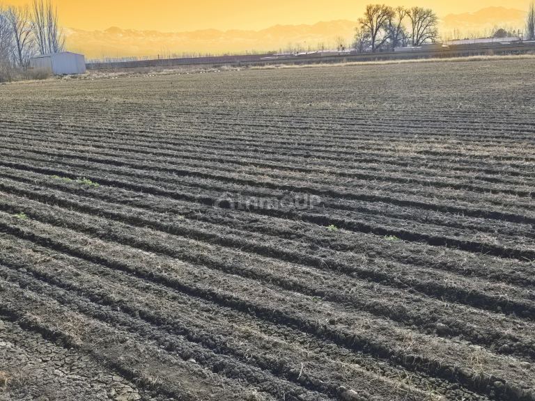 Finca en Venta en Tunuyan, Mendoza