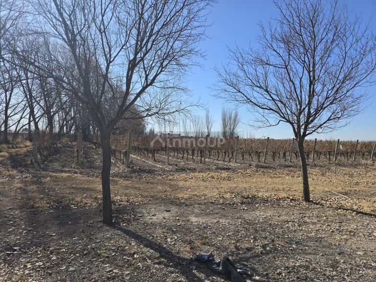 Finca en Venta en Tunuyan, Mendoza