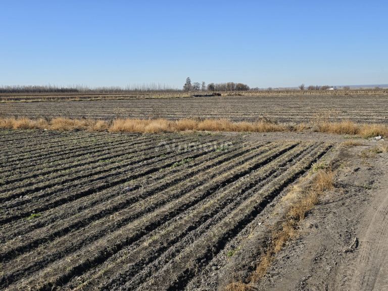 Finca en Venta en Tunuyan, Mendoza