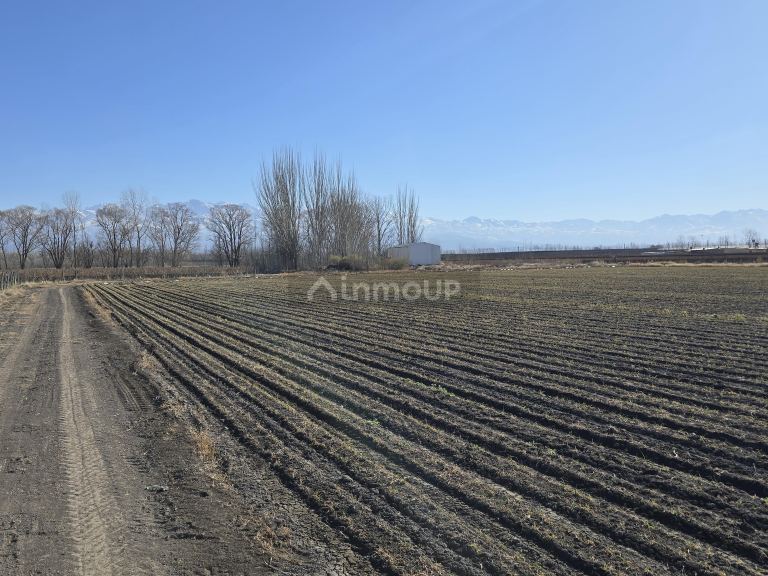 Finca en Venta en Tunuyan, Mendoza