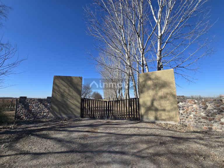 Finca en Venta en Tunuyan, Mendoza