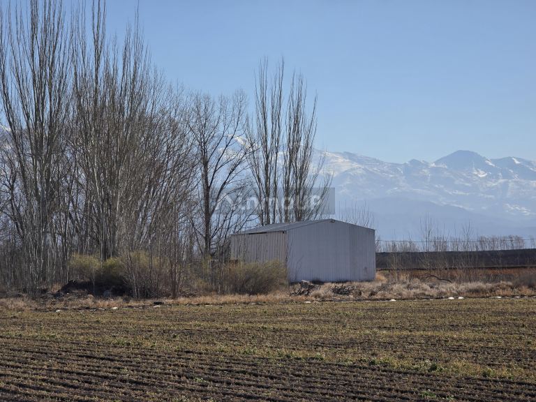Finca en Venta en Tunuyan, Mendoza