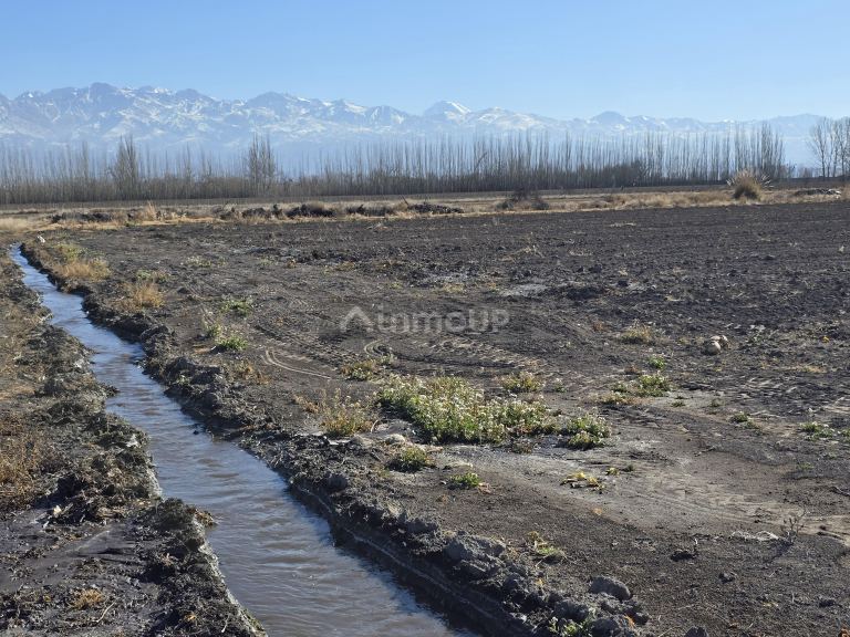 Finca en Venta en Tunuyan, Mendoza