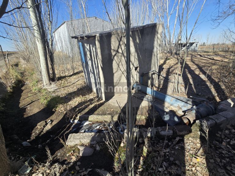 Finca en Venta en Tunuyan, Mendoza