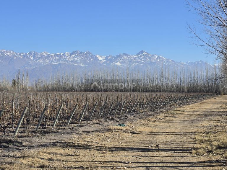 Finca en Venta en Tunuyan, Mendoza