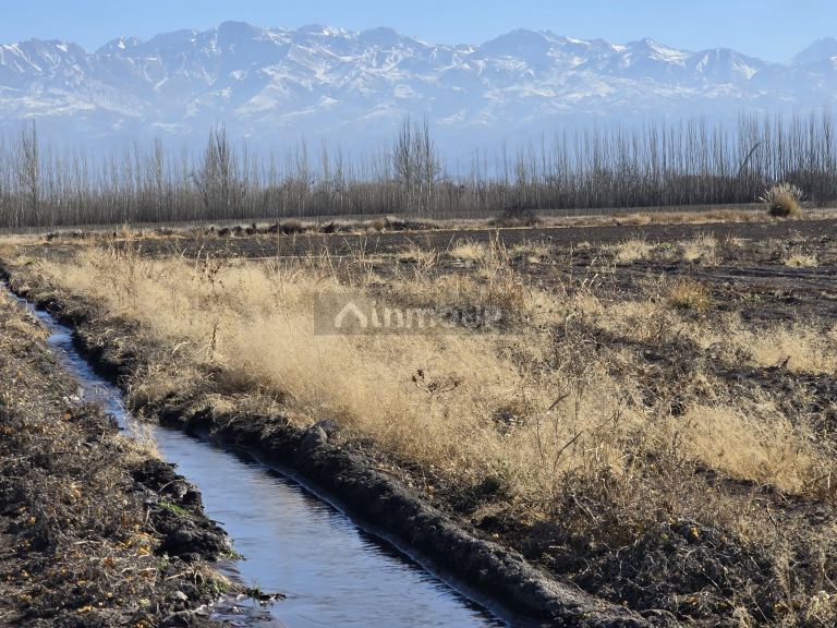 Finca en Venta en Tunuyan, Mendoza