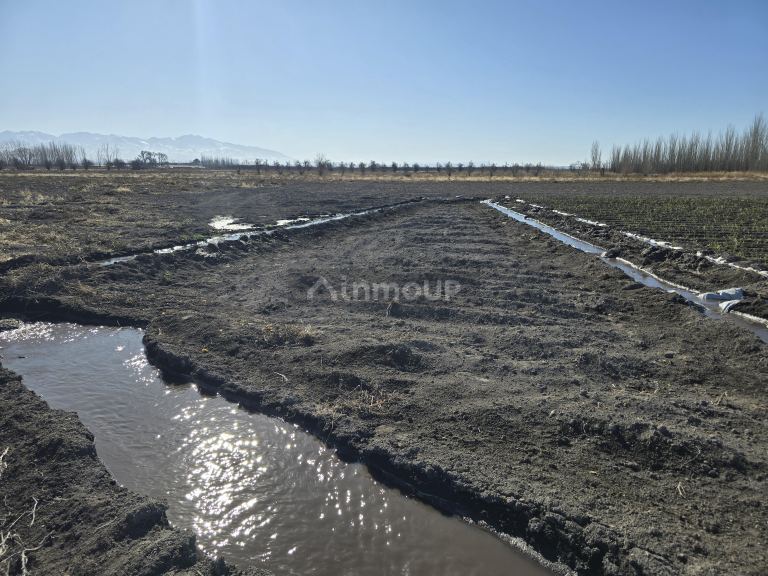 Finca en Venta en Tunuyan, Mendoza