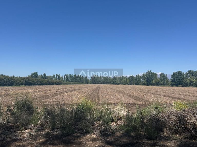Finca en Venta en Tunuyan, Mendoza