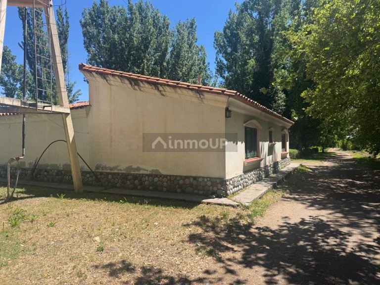 Finca en Venta en Tunuyan, Mendoza
