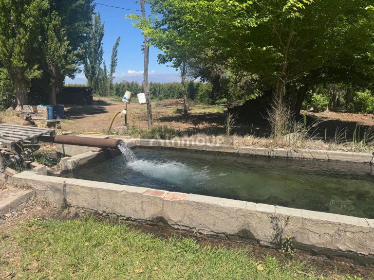 Finca en Venta en Tunuyan, Mendoza