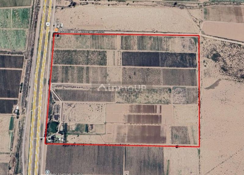 Finca en Venta en Lujan de Cuyo, Mendoza