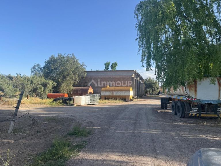 Finca en Venta en Lujan de Cuyo, Mendoza