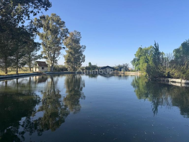 Finca en Venta en Lujan de Cuyo, Mendoza