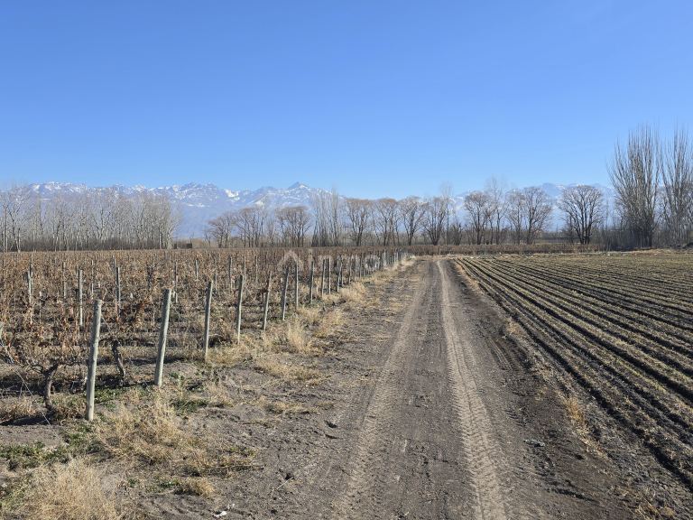 Finca en Venta en Tunuyan, Mendoza