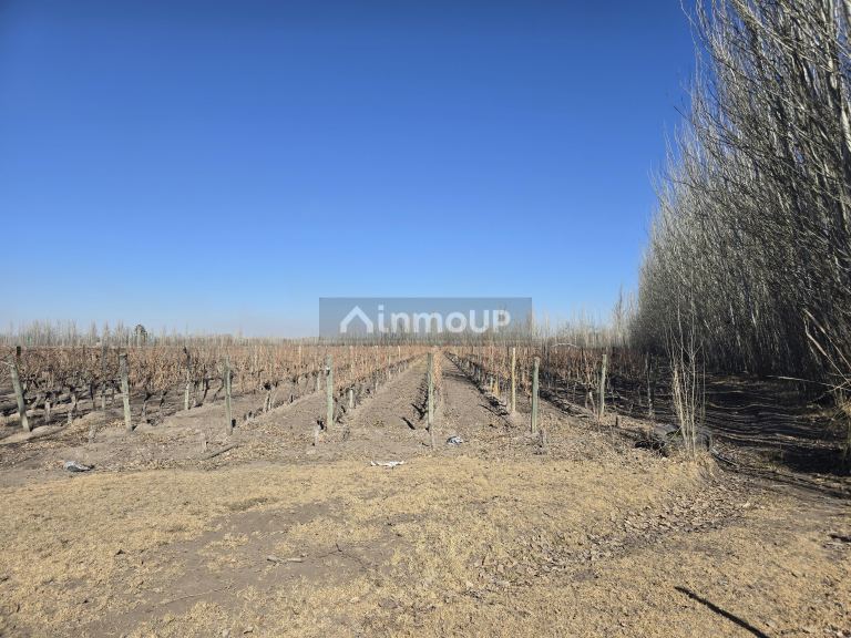 Finca en Venta en Tunuyan, Mendoza