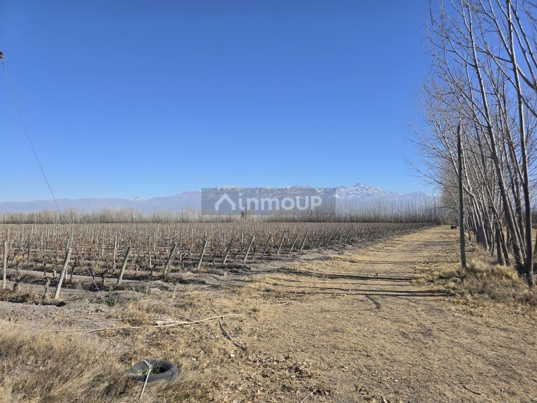 Finca en Venta en Tunuyan, Mendoza